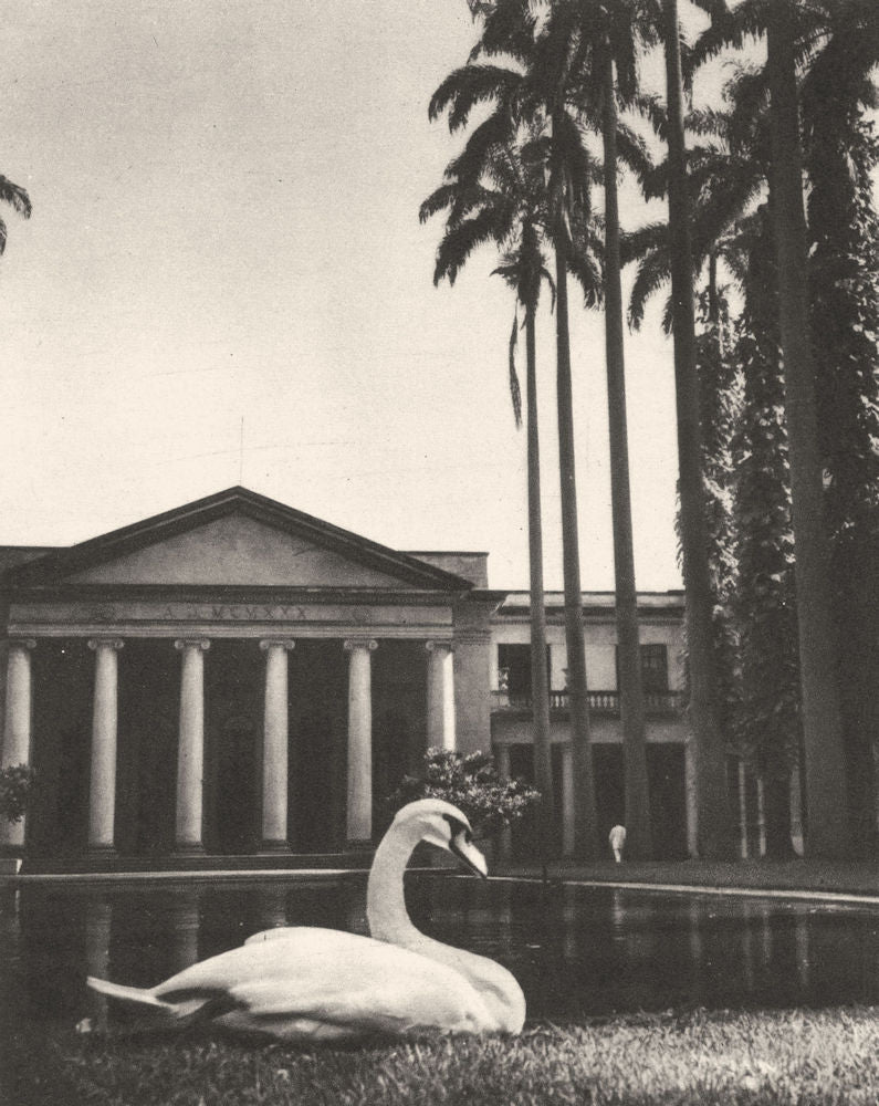 BRAZIL. Rio de Janeiro. Le Ministère des affaires Étrangères 1951 old print
